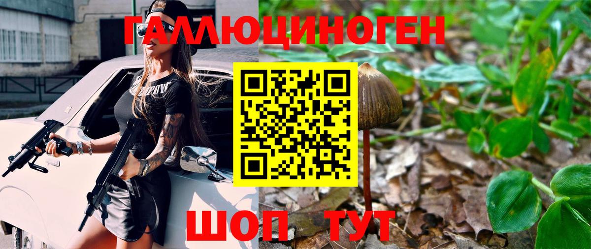 Галлюциногенные грибы Magic Shrooms Казань